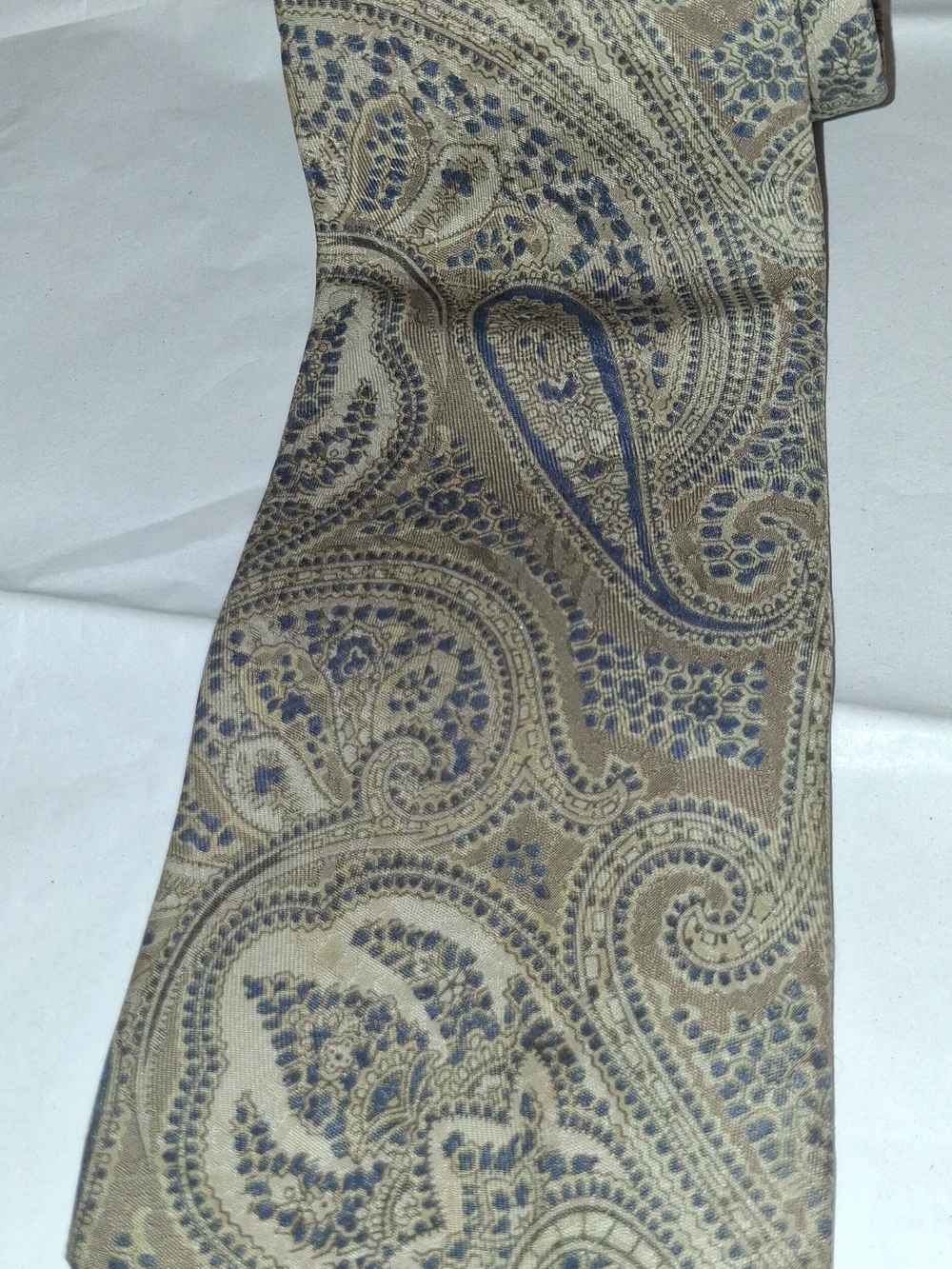 57th St. Collection Paisley Silk Tie in Brown & Blue